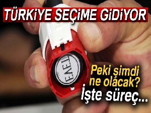 Erken seçim kararı alındı! Türkiye seçime gidiyor | Peki şimdi ne olacak?