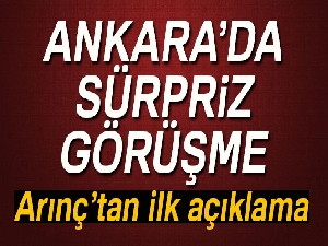 Arınç: 'Ben iyi bir AK Partiliyim'