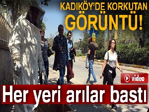 Kadıköy'ü arılar bastı