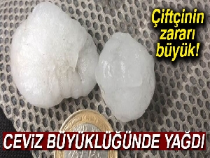 Ceviz büyüklüğündeki dolu, bahçelere zarar verdi