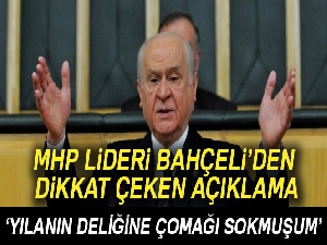 MHP lideri Bahçeli: Yılanın deliğine çomağı sokmuşum