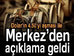 Dolar'ın 4.50'yi aşması ile Merkez Bankası'ndan açıklama geldi