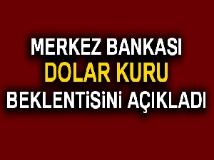 Yıl sonu dolar kuru tahmini yükseldi