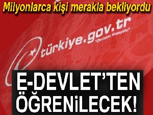Seçmenler oy kullanacakları sandığı YSK'nın sitesinden ve e-Devlet'ten öğrenebilecek