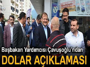 Başbakan Yardımcısı Çavuşoğlu: 'Dolardaki dalgalanma sunidir'