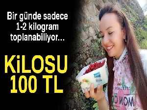 Bu çileğin kilosu 100 TL