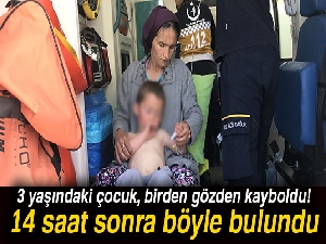 Bebek firarda: Kaybolunca geceyi ormanda tek başına geçirdi