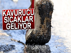 Antalya’ya kavurucu sıcaklar geliyor