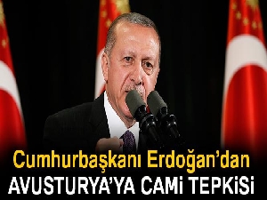 Cumhurbaşkanı Erdoğan: 'Avusturya Başbakanının attığı adımlar dünyayı haçlı-hilal savaşına götürüyor'