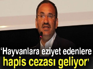 Bekir Bozdağ: 'Hayvanlara işkence ve eziyet yapanlara hapis cezası getirilecek'