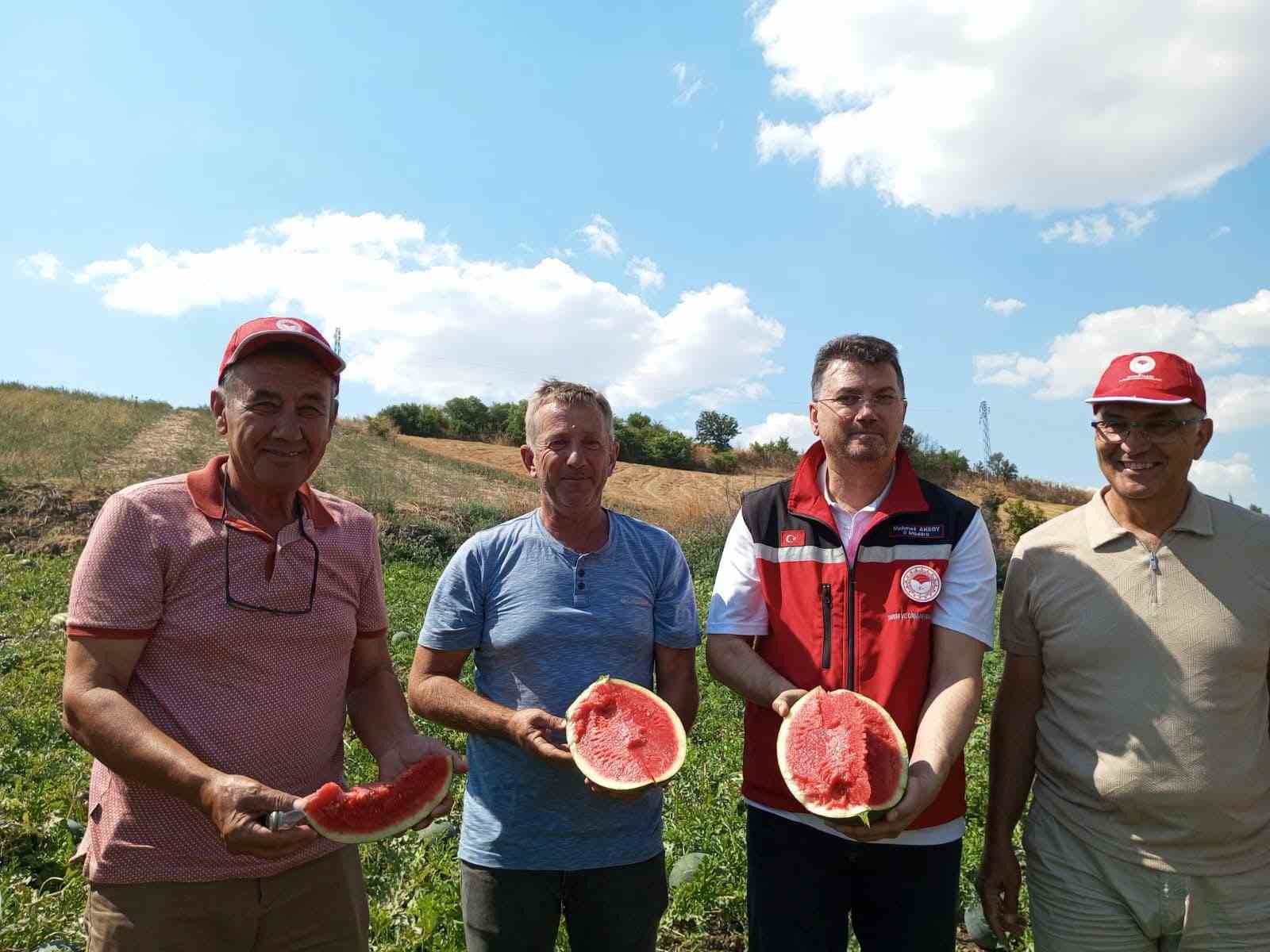 tekirdag-karpuzu-tezgahlara-cikiyor