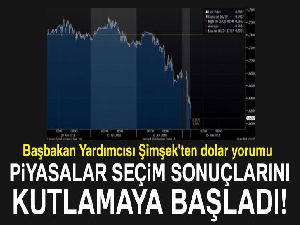 Başbakan Yardımcısı Şimşek'ten dolar yorumu