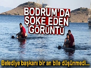 Bodrum Belediye Başkanı Mehmet Kocadon boğulan tatilcinin hayatını kurtardı