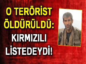 Kırmızı listedeki terörist öldürüldü