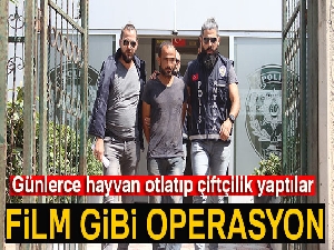 Alman kadını öldürdüğü iddia edilen inşaat işçisi film gibi operasyonla yakalandı