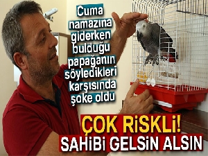 Cuma namazına giderken bulduğu papağanın söyledikleri karşısında şoke oldu