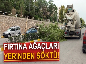 Çankırı'da fırtına ağaçları kökünden söktü