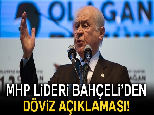 Son dakika... MHP Lideri Bahçeli'den dolar açıklaması