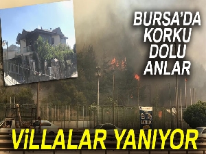 Bursa'da korkutan orman yangını!