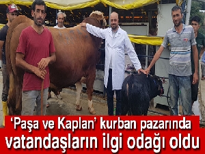 Bu da en küçük kurbanlık