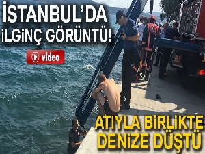Sarıyer'de at denize düştü