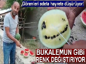 Bu toprak kırmızı karpuzu sarıya döndürüyor