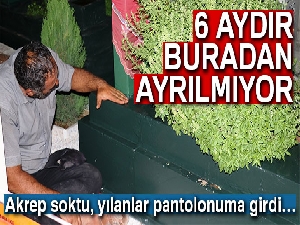 Oğlunun ölümüne dayanamayan baba mezarı başında yatıyor