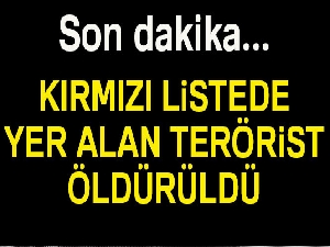 Kırmızı listedeki bir terörist daha etkisiz hale getirildi
