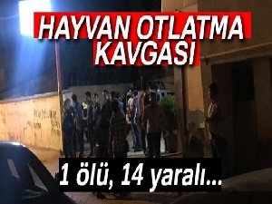 Muş’ta hayvan otlatma kavgası: 1 ölü, 14 yaralı