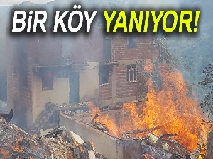 Kastamonu'da köyde 8 ev yanıyor