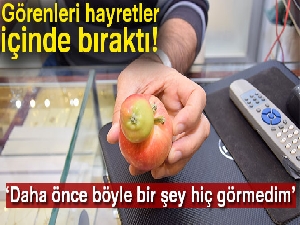 Siyam ikizi gibi elma