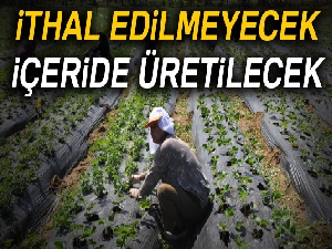 İthal edilmeyecek içeride üretilecek
