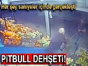 İki pitbull köpeği yaşlı adamın kolunu kaptı, dehşet anları kamerada