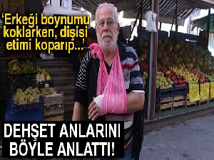 Pitbull saldırısına uğrayan yaşlı adam dehşet anlarını anlattı