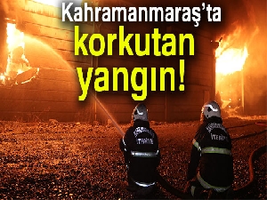 Kahramanmaraş'ta pamuk deposunda yangın çıktı!