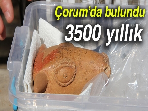 3500 yıllık boğa biçimli kap bulundu