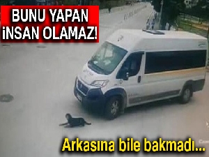 Yolda uyuyan köpeği ezdi, arkasına bile bakmadı
