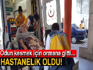 Kışlık odun için ormana gitti bacağını kesti