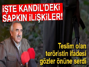 Teröristin ifadesi Kandil'deki sapkın ilişkileri gözler önüne serdi