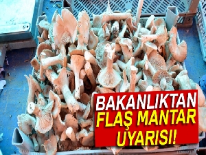 Sağlık Bakanlığından mantar zehirlenmesine ilişkin açıklama