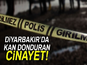 Diyarbakır'da kan donduran kadın cinayeti