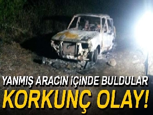 Aydın'da iki tır kafa kafaya çarpıştı