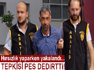 30 fidan kovası ve sera filesi çaldı