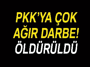 PKK'nın sözde bölge sorumlusu ölü olarak ele geçirildi