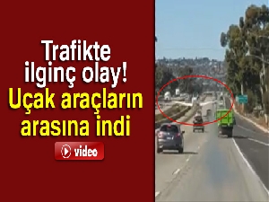 Uçak araçların arasına indi