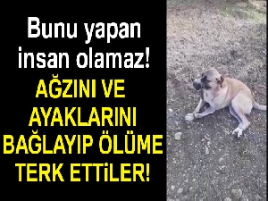 Ağzını ve ayaklarını bağlayarak ölüme terk ettiler