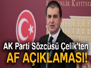 AK Parti Sözcüsü Çelik'ten af açıklaması!