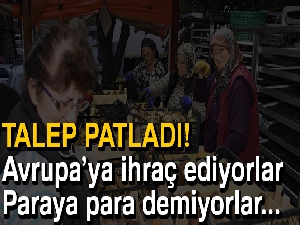 Mantar geçim kaynağı oldu