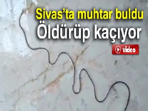 Hayvan öldüren parazit köylüleri şaşırttı