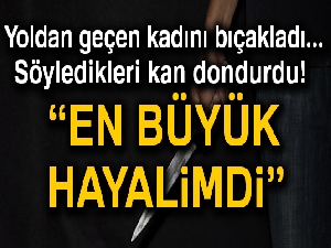 Yoldan geçen kadını bıçakladı, 'En büyük hayalimdi' dedi